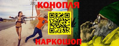 гидра Шахты