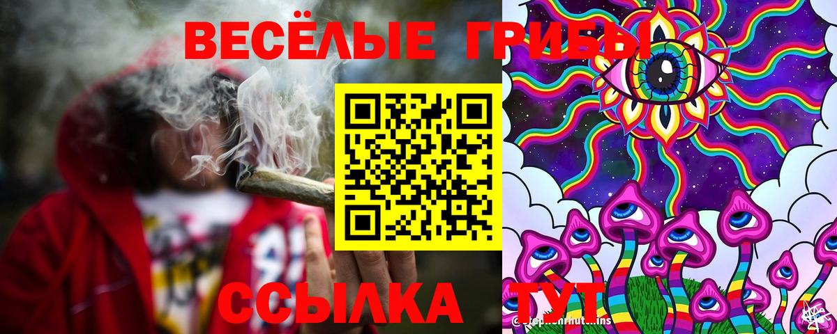 Тихвин  как найти   Вход с VPN  Псилоцибиновые грибы Psilocybe 