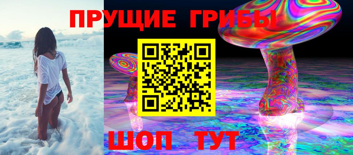 Псилоцибиновые грибы мухоморы Тихвин